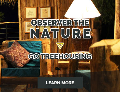 go-treehousing